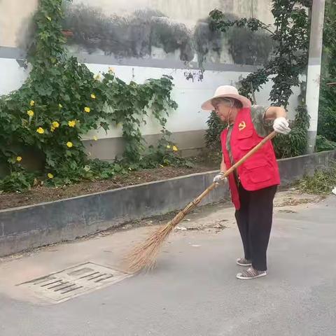 沈小营村改善生活环境，建设生态宜居美丽乡村