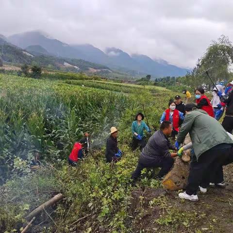 培育文明新风  构筑和谐农村