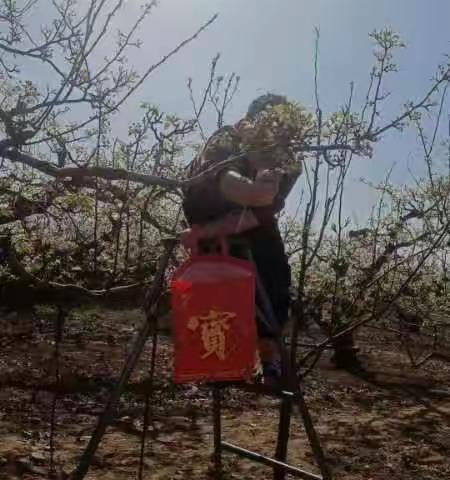 在劳动中寻找快乐，在快乐中传承文明，你劳动的样子最美