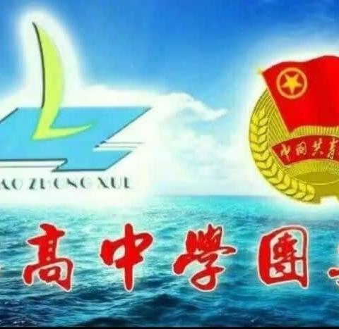 ［青年之声·临中团委］五四之光，志愿同行