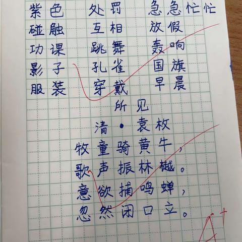 9月12日听写 书写优秀反馈