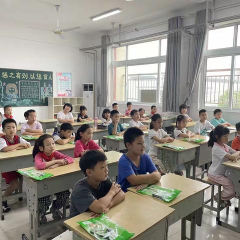 桃园路小学二年级鲨鱼公园STEM主题科学课程