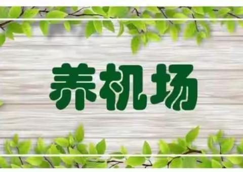 建家庭“养机场” 享亲子好时光——三(4)中队德育实践活动