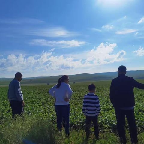 一路向北  2023.7.9--7.15