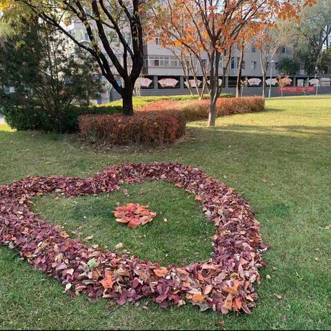 感谢按时交纳物业费的家人！