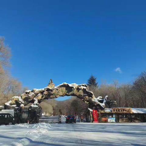 巅峰滑雪俱乐部23-24雪季招生季