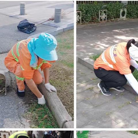 杂草丛生扰市容   天美清理显路净