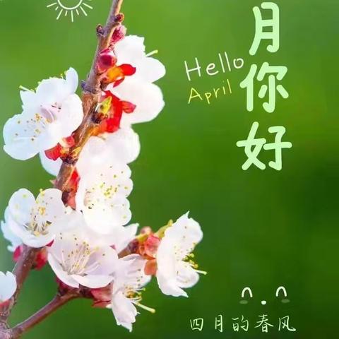 广厦安2026年4月物业工作简报