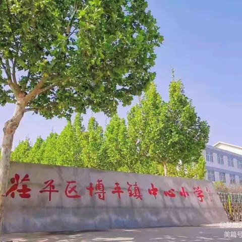 学思赋能助成长，蓄力前行向未来— —博平镇中心小学教师读写能力提升公益项目培训