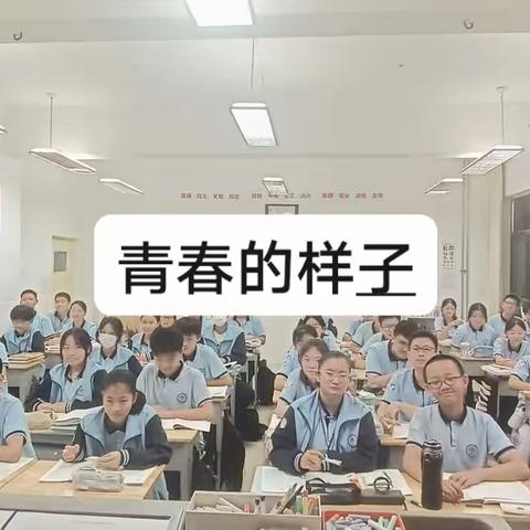 青春的样子（2021级13班）