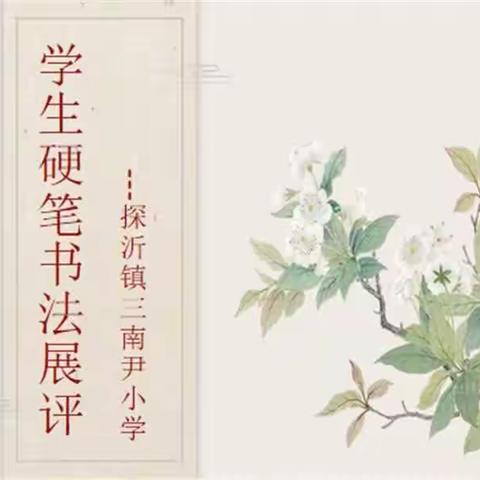 墨香满园，纸上芳华——探沂镇三南尹小学开展学生硬笔书法评比展示活动