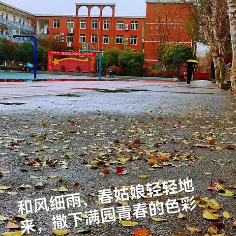 春雨向阳