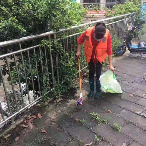 同安河长在行动（祥和篇）的美篇