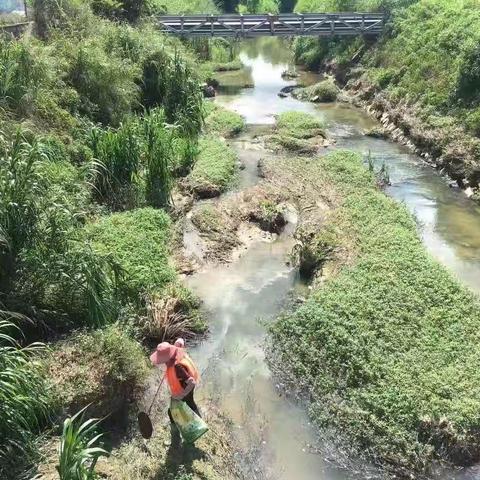 同安河长在行动（祥和篇）的美篇