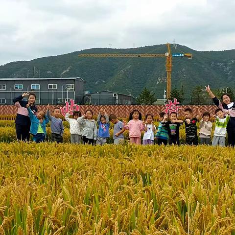 马庄幼儿园秋季一日研学活动  ——葡萄博物馆/葡萄采摘/稻田公园/月饼DIY体验