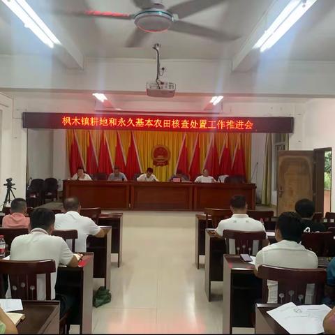 枫木镇耕地和永久基本农田核查处置工作推进会