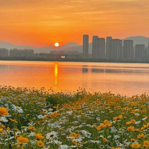 此世山河，我等你品。。