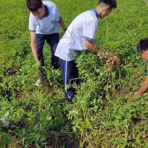 劳动励心智，爱心塑品格