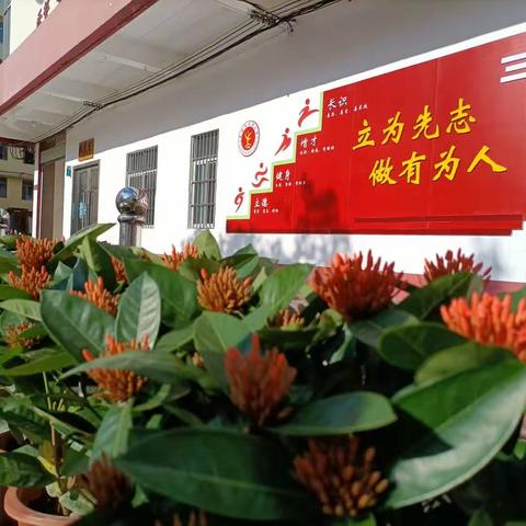 《温情洒满上学路》—感谢六（8）班爱心护岗志愿者们