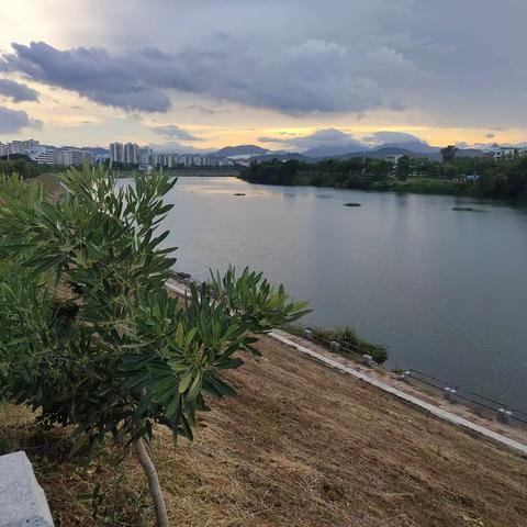 龙华实验学校学校周边危险水域巡查简报（32）