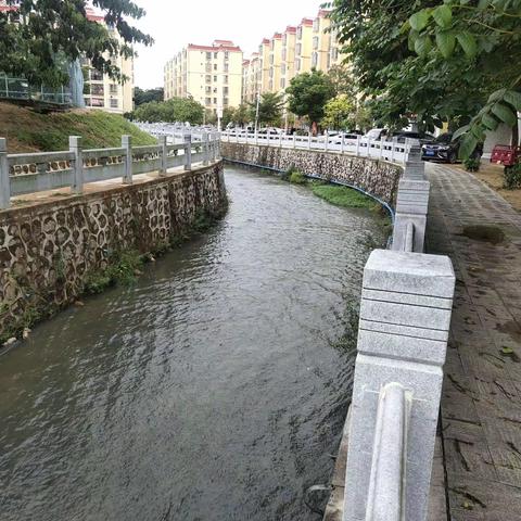 龙华实验学校学校周边危险水域巡查简报（38）