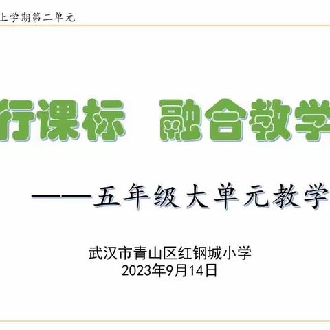 “阅读提速，慧读成长” ——“践行课标 融合教学”青山区小学语文五年级主题教研活动记实