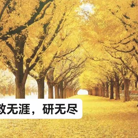 教无涯，研无尽———语文组第三次教研活动