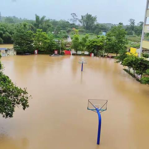 洪水无情 人间有爱清廉学校建设 众志成城 同担风雨