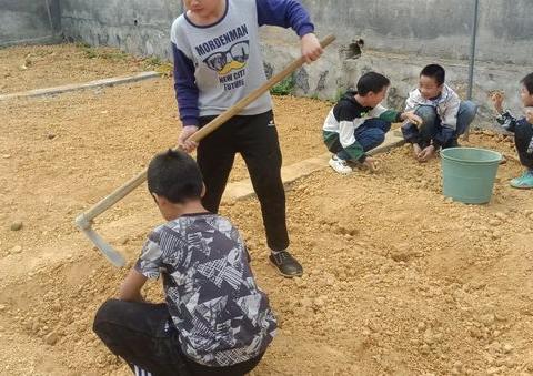 勤耕笃行  实践育人--黄双九年一贯制学校举行劳动实践基地开耕播种启动仪式