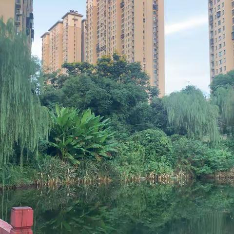 小区植物分布图-2304王致远9.17