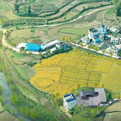 群策群力 就地取材——砚台村乡村振兴示范点有序推进