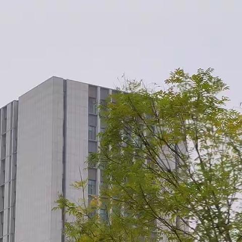 工业设计2202王连增