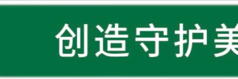 宣城中环洁城市环境服务有限公司工作日报2024.11.6