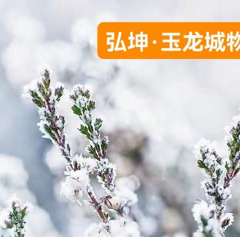 雪中的你最美--献给奋战在清雪一线的物业人