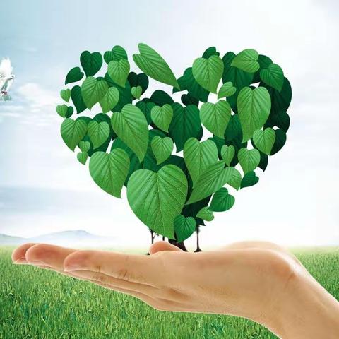 ╭ 🍒客户为尊.用心服务🍒 ╮