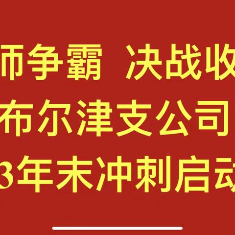 布尔津支公司“红师争霸 决战收官”年末冲刺启动会