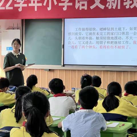 磨砺促成长 亮相展风采 ——沂南县第五实验小学新教师亮相课