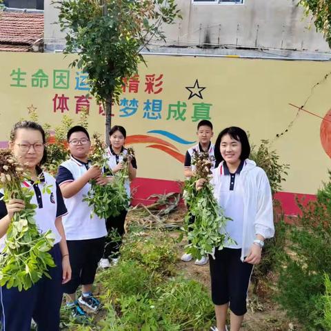 粒粒花生情，浓浓花生乐