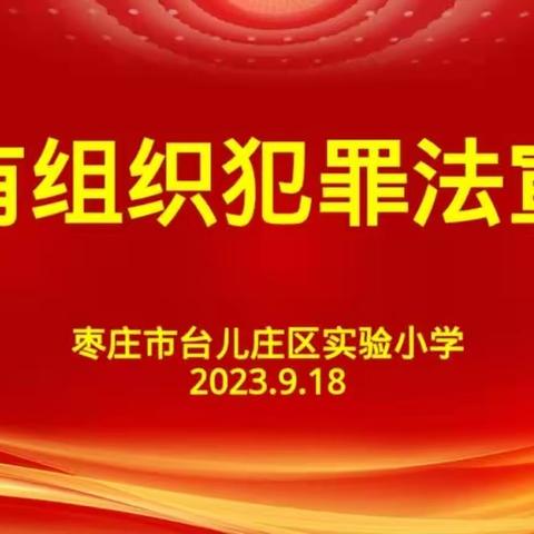 开展“反有组织犯罪法”主题班会