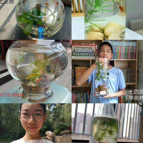 “一瓶一世界，创意乐实践”经开区实验中学七年级生物学科活动之“自制生态瓶”