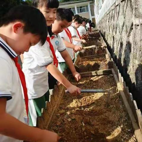 劳动最光荣   401班在行动