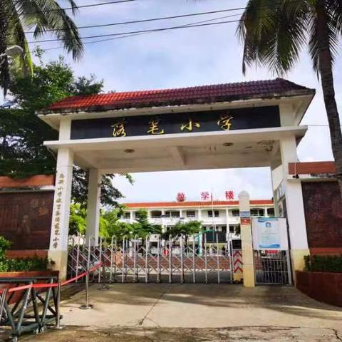 “以善教促乐学，以视导助提质”——三亚市吉阳区落笔小学术科教学视导工作简报