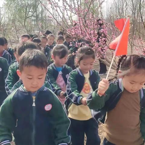 故县新苗幼儿园🌸 清明/踏青🍃