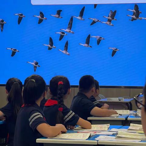 躬身教坛 强国有我——星港路小学与培栋实验学校“四有好教师”团队建设结对共建活动