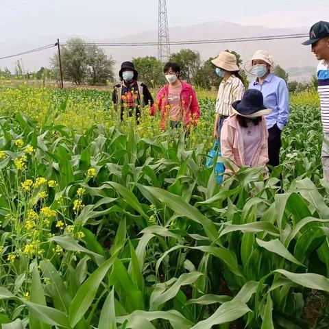 省农业农村厅抽检工作组对我州北部农业区进行农业转基因生物安全专项执法检查工作