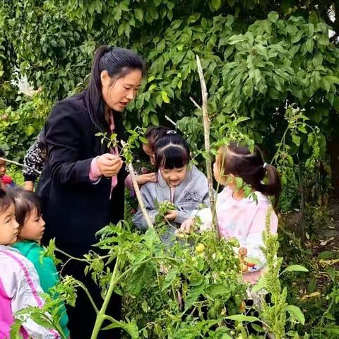 一八四团第二幼儿园  开展家长助教活动