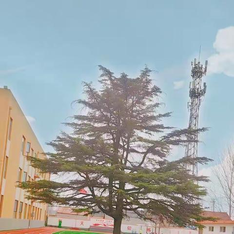 你好，四一班——一学期精彩回眸