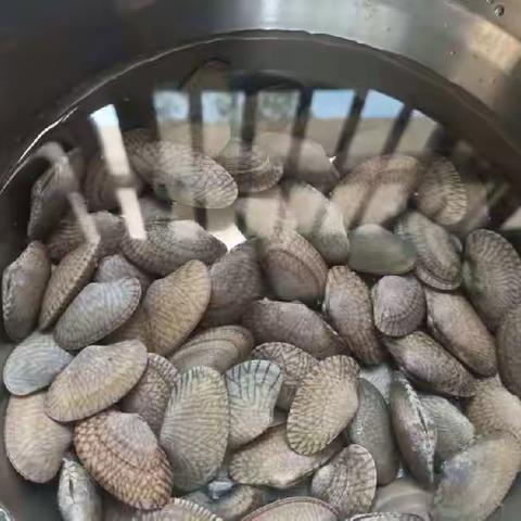 为家长做一道菜