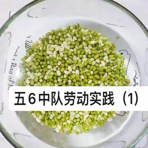 我劳动，我快乐