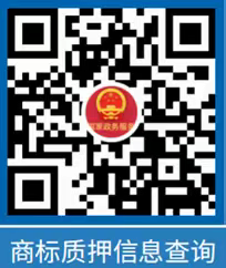 复兴区市场监督管理局发布——国家知识产权公共服务网为您提供全面、高效的知识产权服务